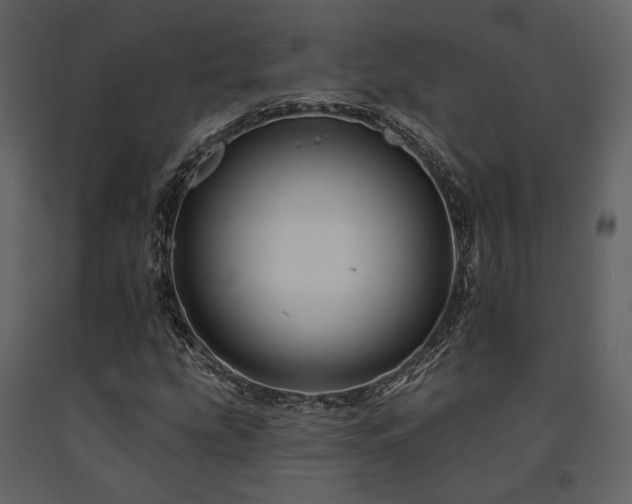 X0000091671207200708231321