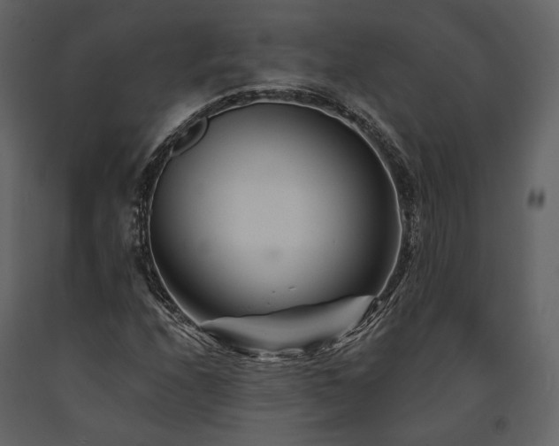 X0000091671208200708231321
