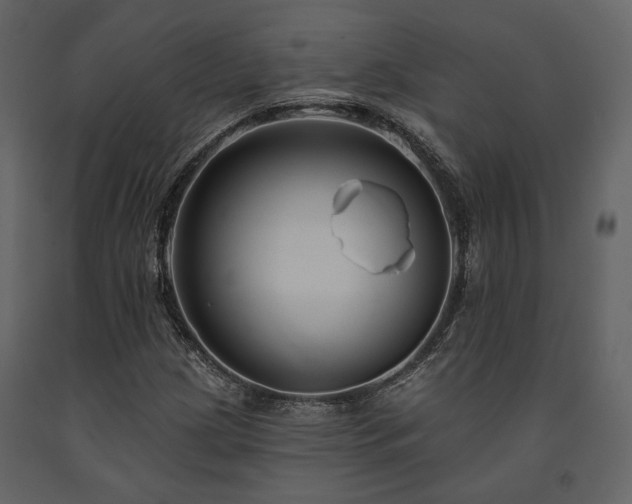 X0000091671209200708231321