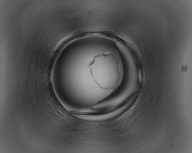 X0000091671210200708231321