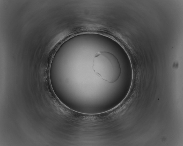 X0000091671211200708231321