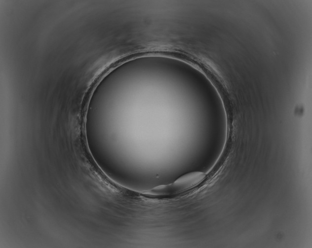 X0000091671212200708231321