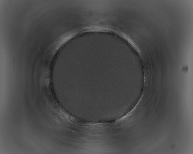 X0000091671213200708231321