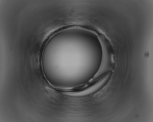 X0000091671214200708231321