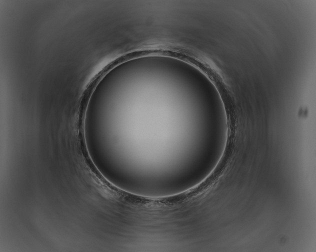 X0000091671216200708231321