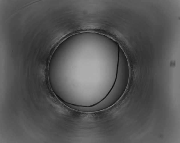 X0000091671217200708231321