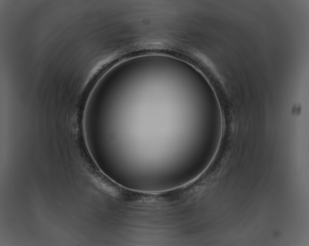 X0000091671218200708231321