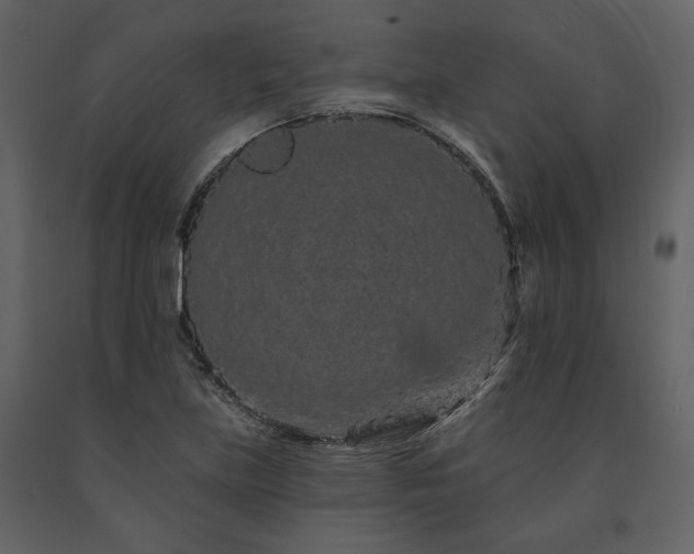 X0000091671219200708231321