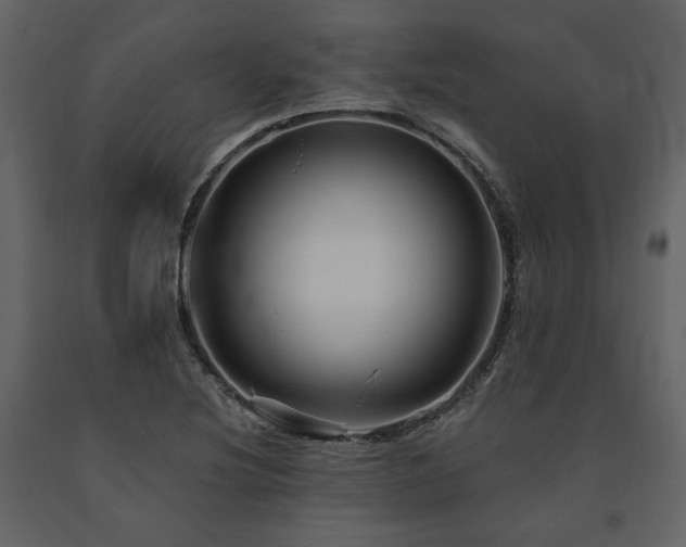 X0000091671220200708231321
