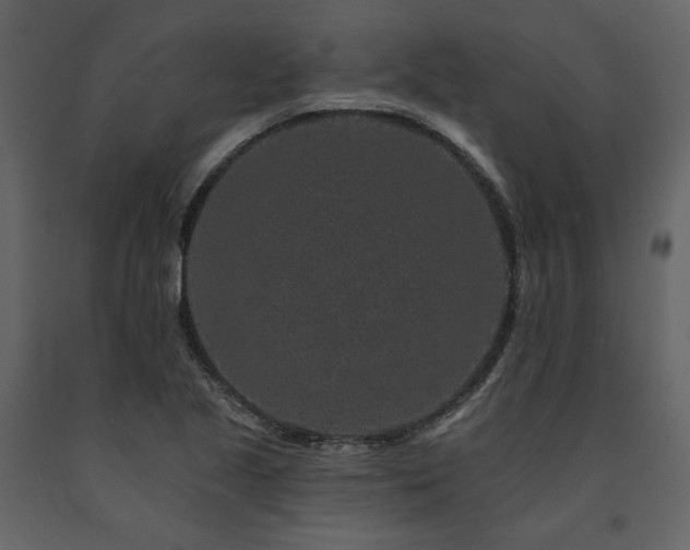 X0000091671221200708231321