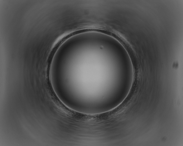 X0000091671222200708231321