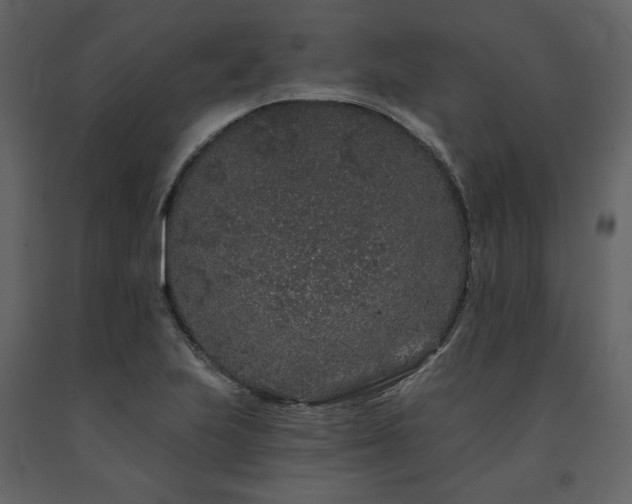 X0000091671223200708231321