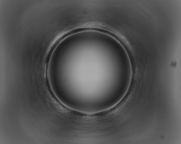 X0000091671224200708231321