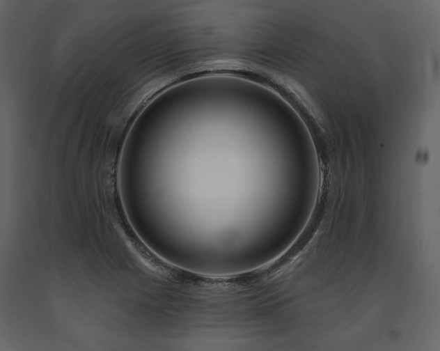 X0000091671225200708231321