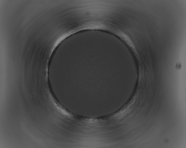 X0000091671226200708231321