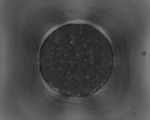 X0000091671229200708231322