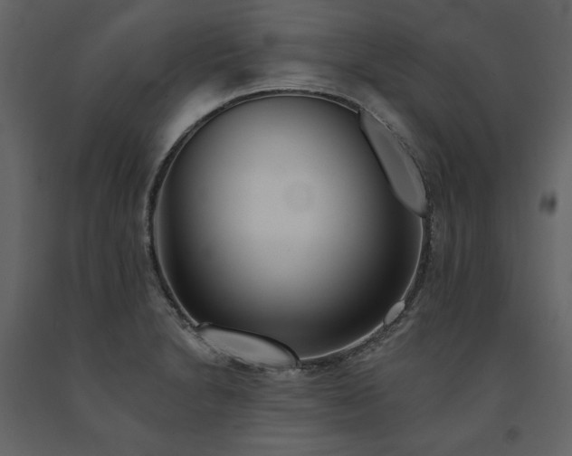 X0000091671230200708231322