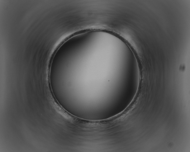 X0000091671232200708231322