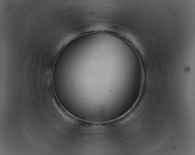 X0000091671233200708231322