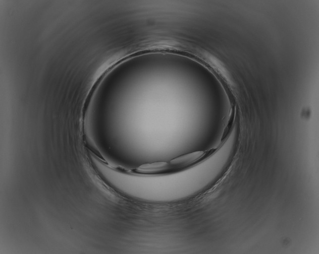 X0000091671234200708231322