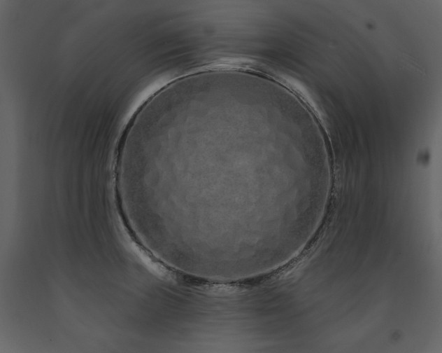 X0000091671235200708231322