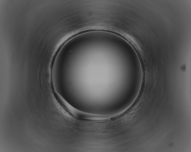 X0000091671238200708231322