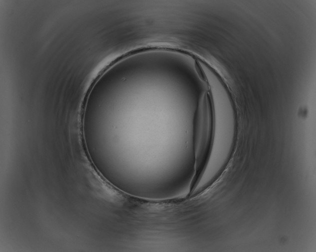 X0000091671240200708231322