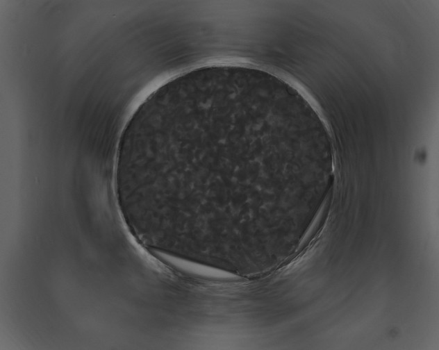 X0000091671245200708231322