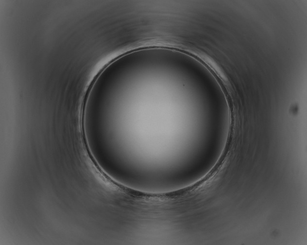 X0000091671246200708231322