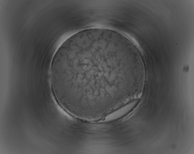 X0000091671247200708231322
