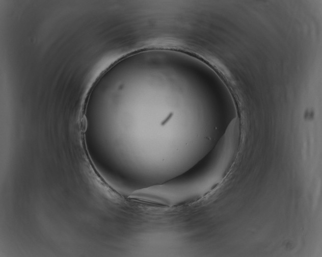 X0000091671248200708231322