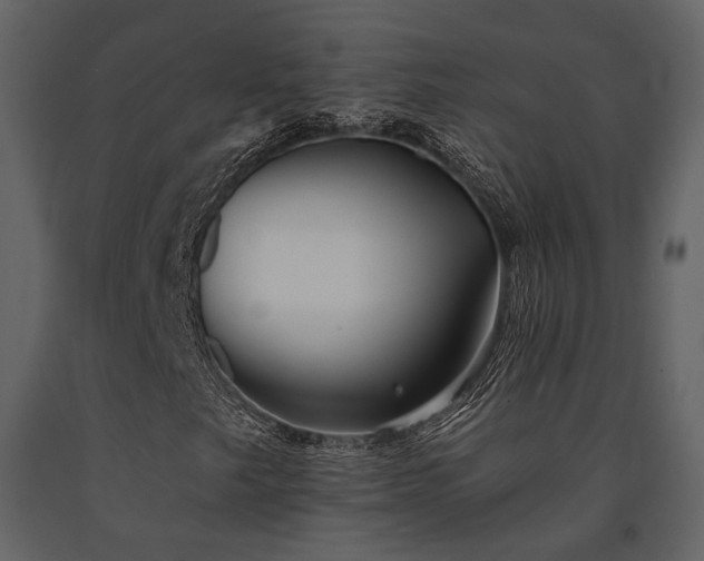X0000091671249200708231321