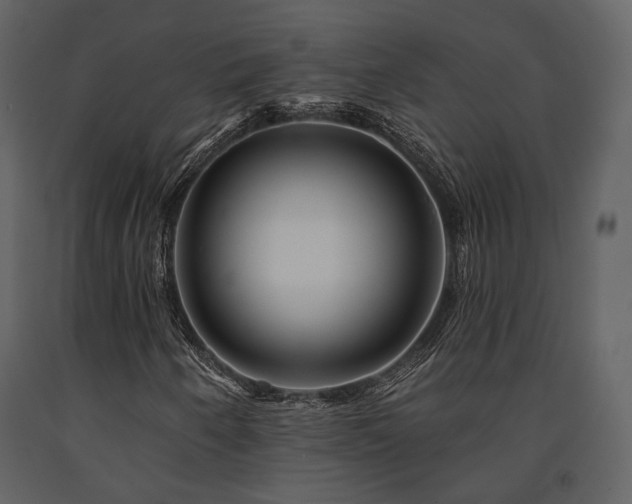 X0000091671250200708231321