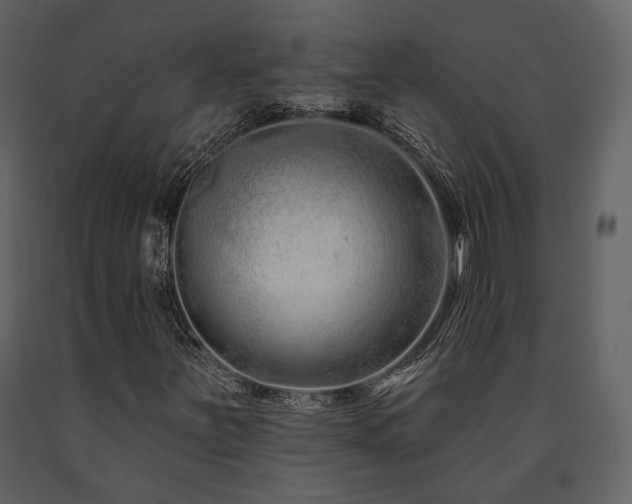 X0000091671251200708231321