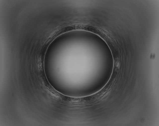 X0000091671252200708231321