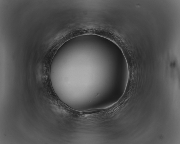 X0000091671253200708231321