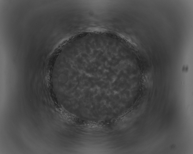 X0000091671254200708231321