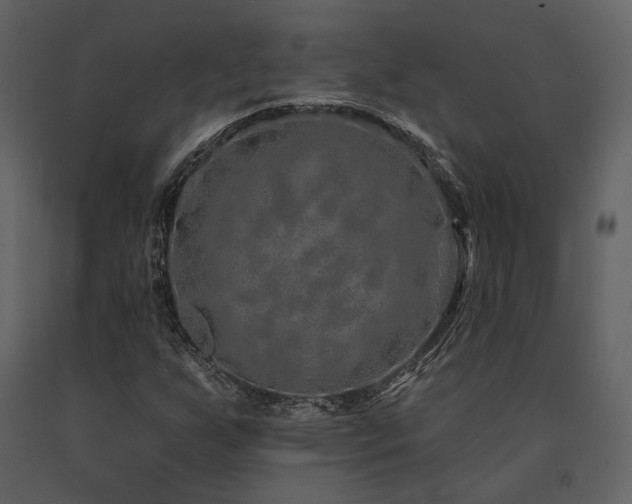 X0000091671255200708231321