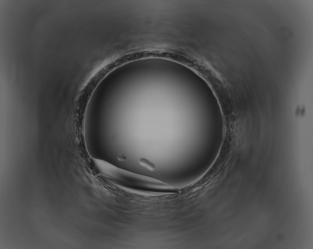 X0000091671256200708231321