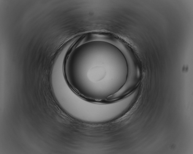 X0000091671257200708231321