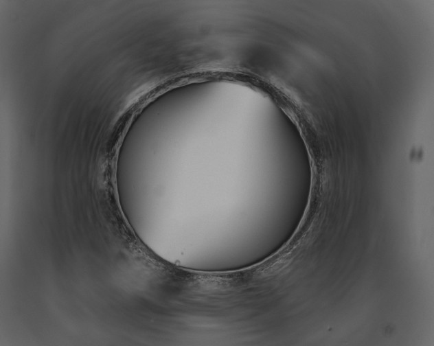 X0000091671258200708231321