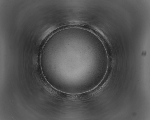 X0000091671259200708231321