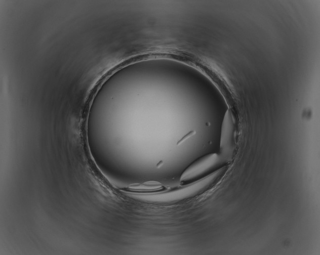 X0000091671260200708231321