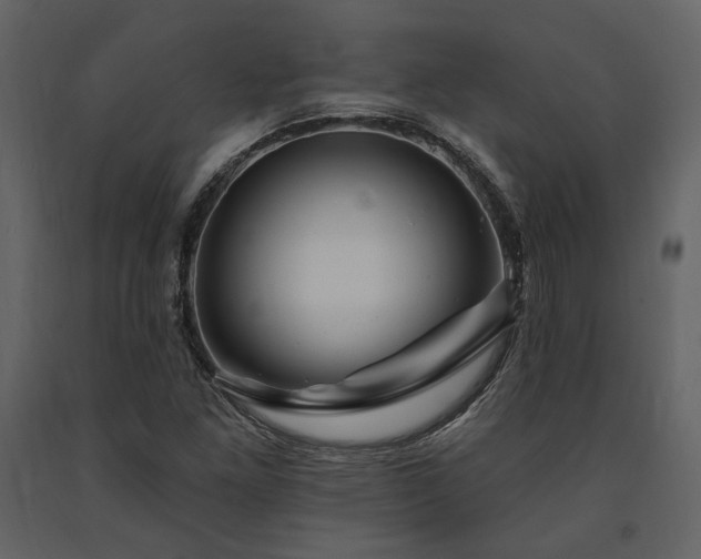 X0000091671261200708231321