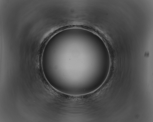 X0000091671262200708231321