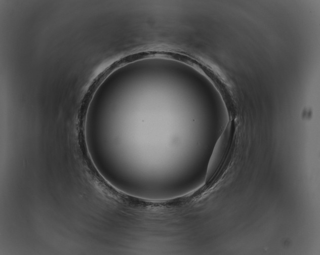 X0000091671264200708231321