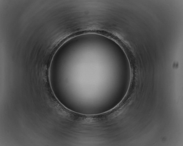 X0000091671265200708231321