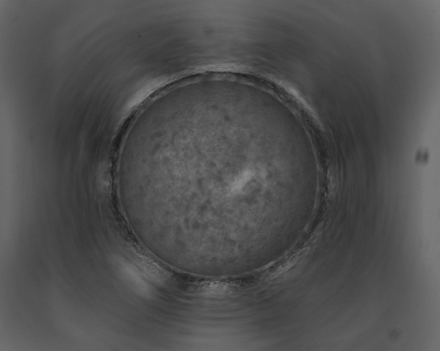 X0000091671266200708231321