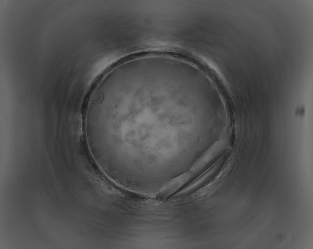 X0000091671267200708231321