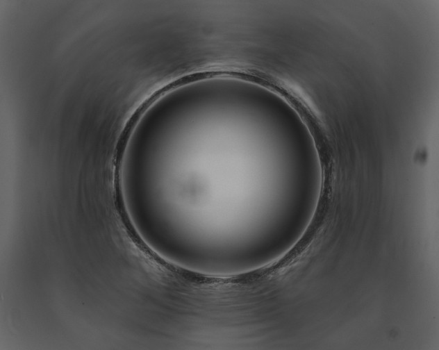 X0000091671268200708231321